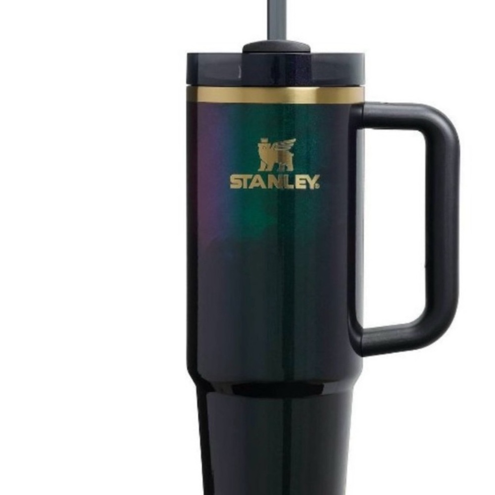 Wicked Elphaba Stanley 30 oz